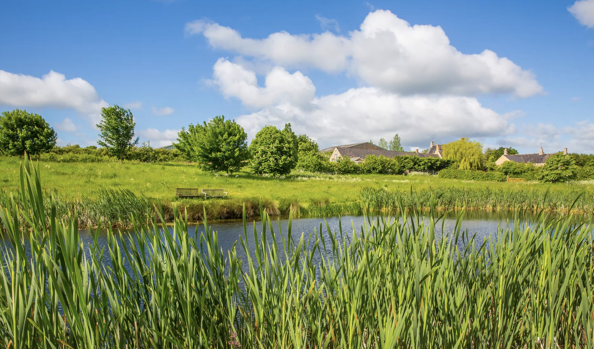 Meadow and lake in front of Piper House on a bright summer day